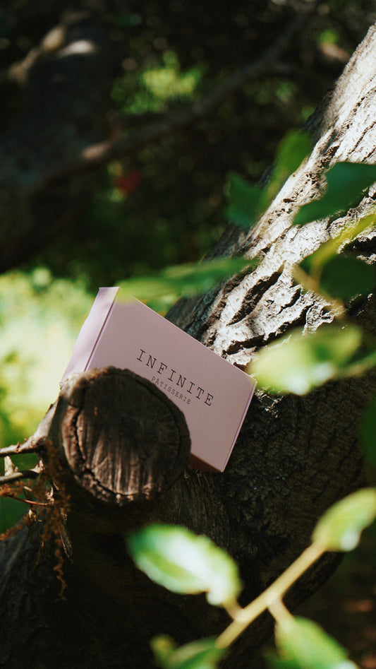 Plant-Based Chocolate BonBons, 6ct